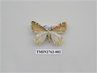 藏品(尺蛾331)的圖片